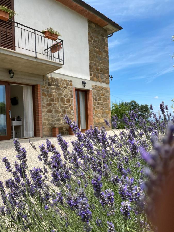 Podere Belsogno-Camera Lavanda Montalcino Bagian luar foto